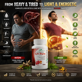 Ayurveda Health Liv-Pure Tablets | Ayurvedic Herbal Wellness Supplement with Giloy, Kalmegh & Bhringraj | 60 Tablets